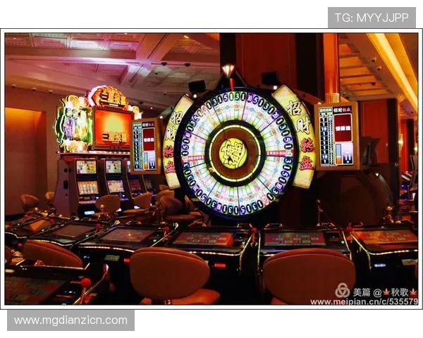 老虎机网娱乐app下载安装指南，轻松注册登录开启精彩纷呈的娱乐之旅